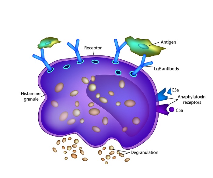 Understanding Allergy and the Power of Immunotherapy
